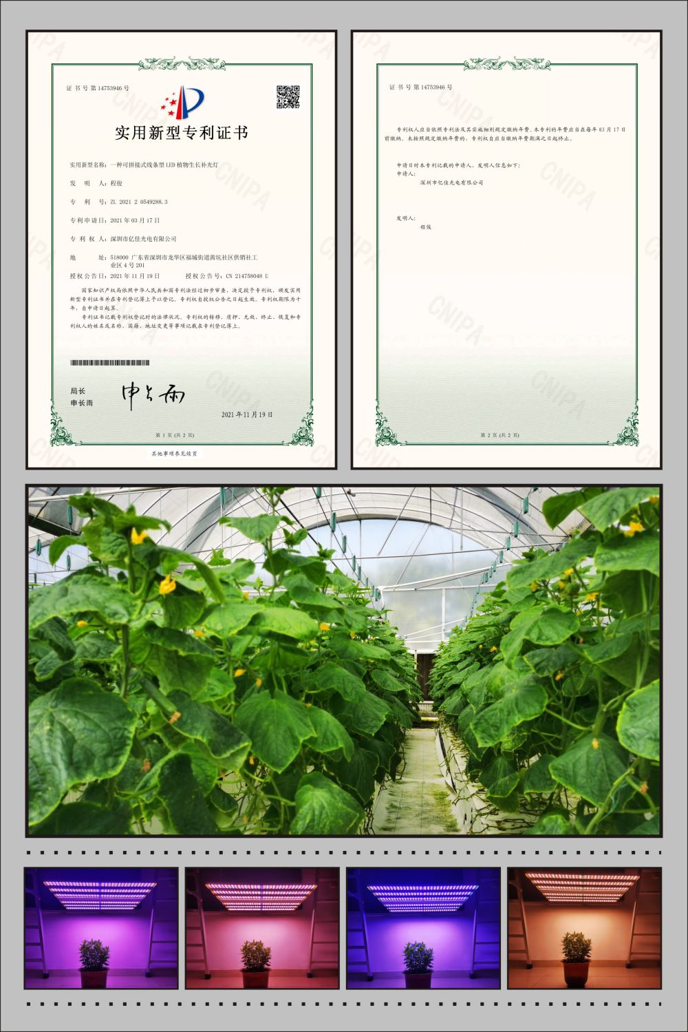 jdb电子植物农场灯适用新型专利